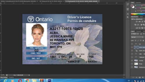 دانلود گواهینامه رانندگی کانادا